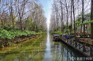 万爱情侣主题酒店