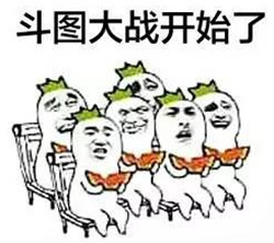 取景新宠 取景新宠