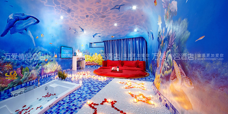 海豚湾恋人 海豚湾恋人