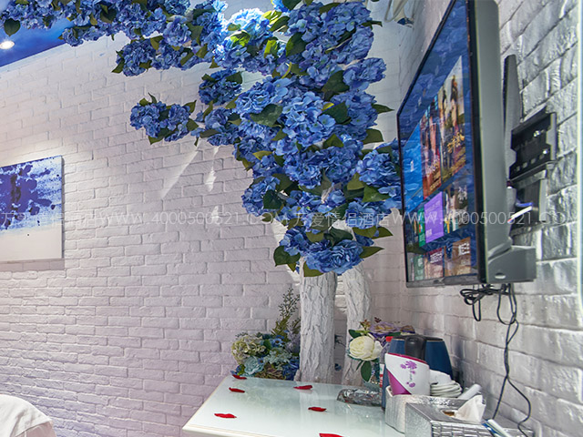 南门店-蓝色妖姬 418-3