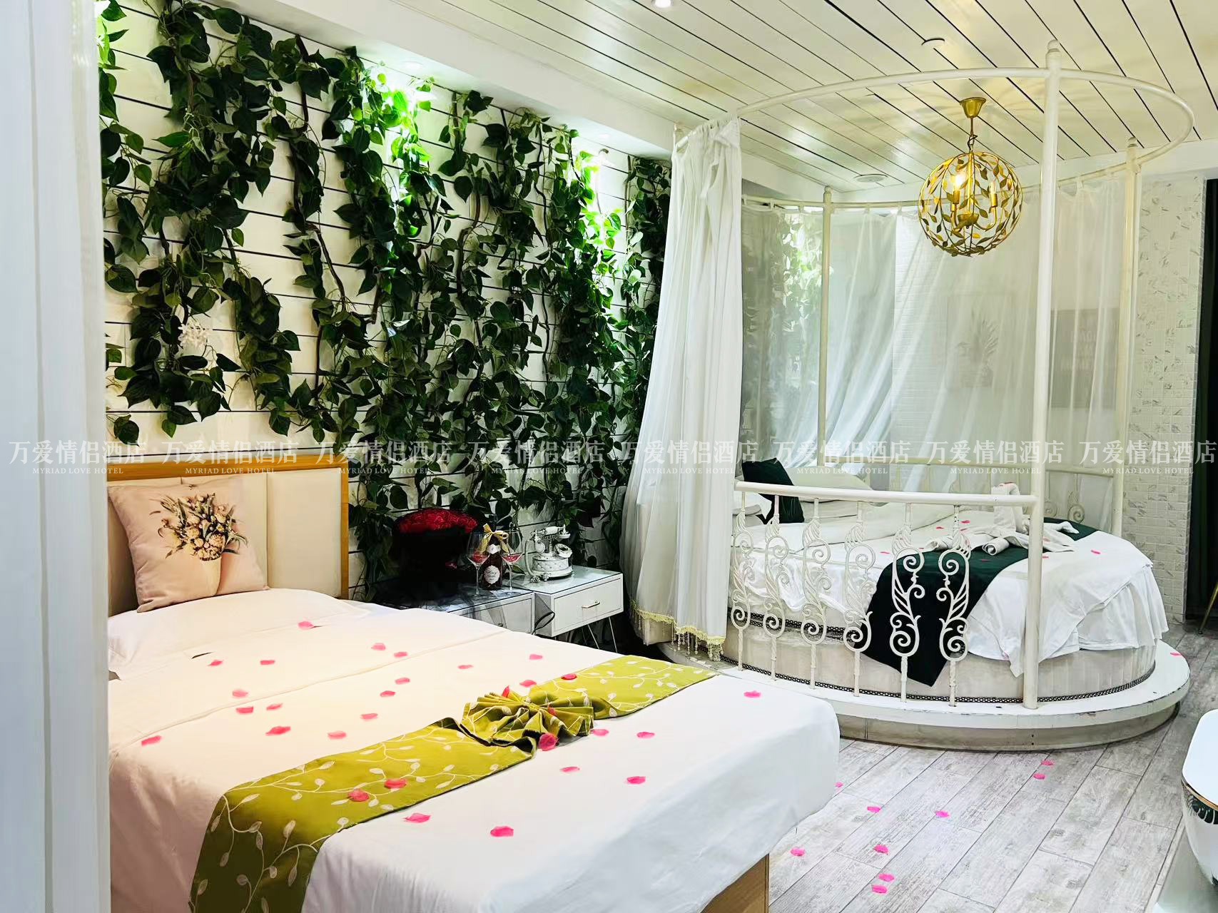 南门店-小恩爱 402-1