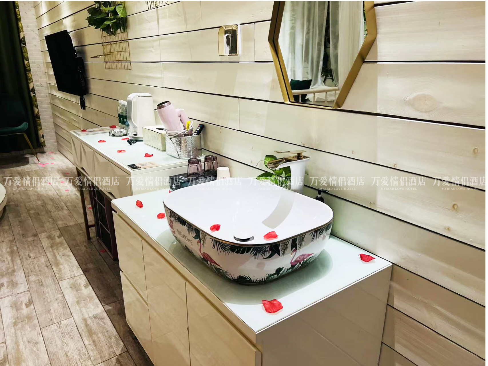 南门店-小恩爱 402-4