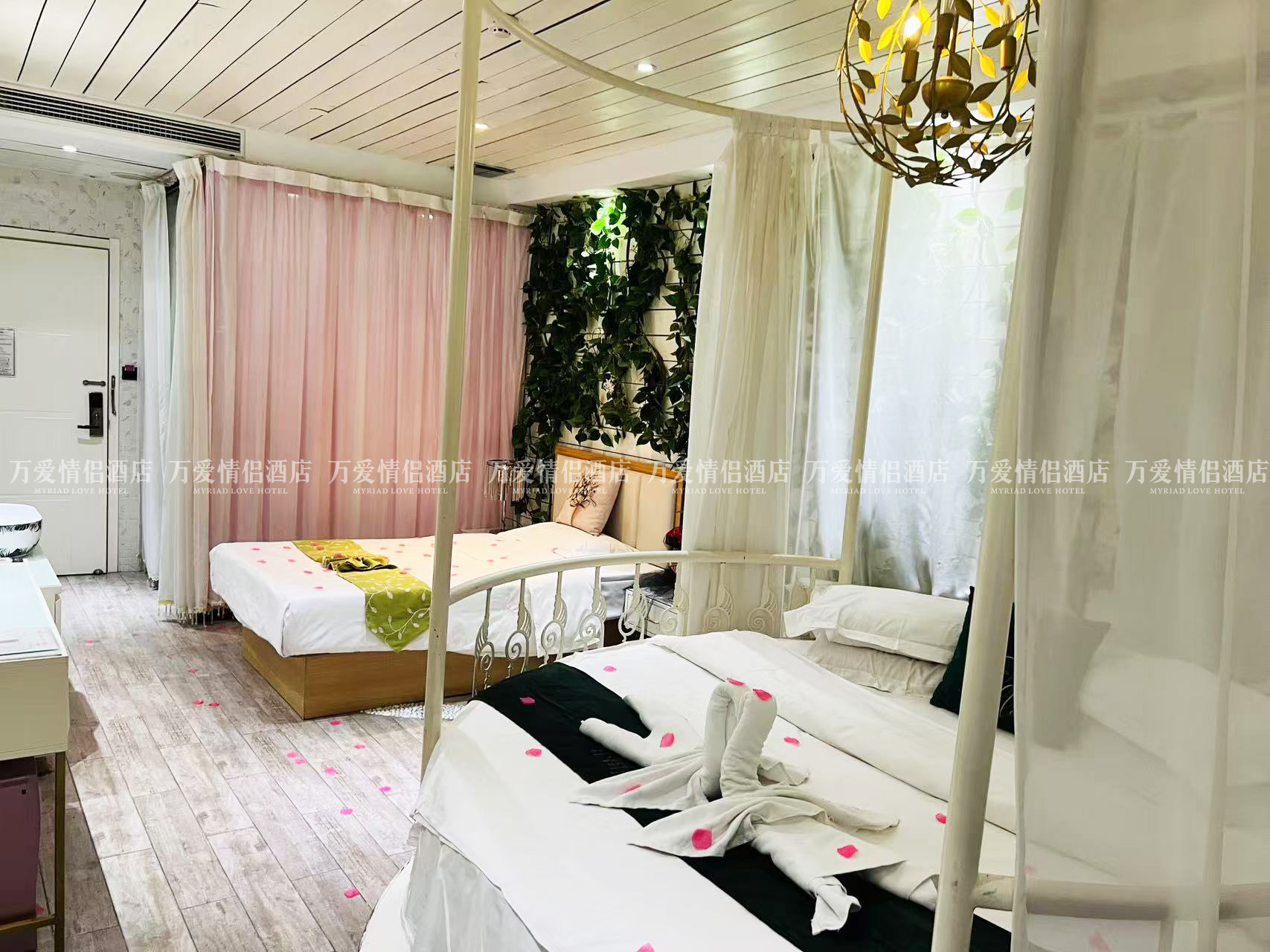 南门店-小恩爱 402-5