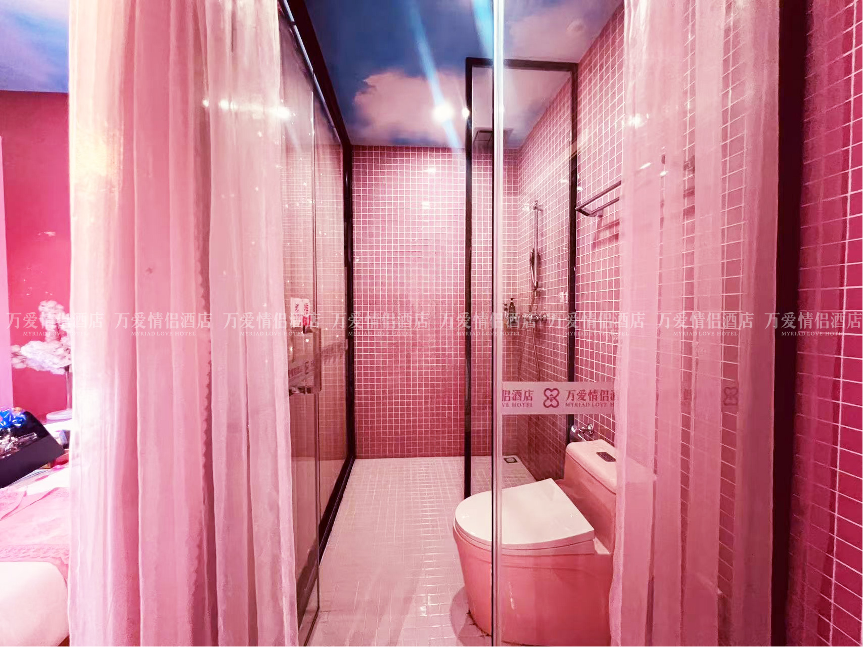 南门店-春日列车 411-5