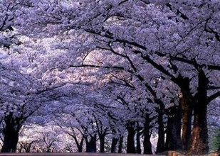 万爱情侣主题酒店