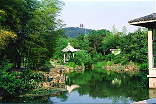 万爱情侣主题酒店