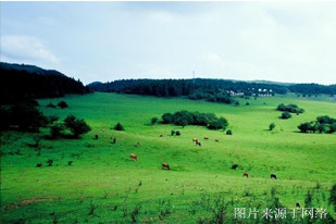 万爱情侣主题酒店